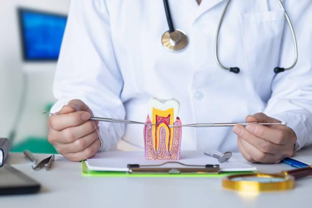 Best After-Hours Emergency Dentist in Peotone, IL
